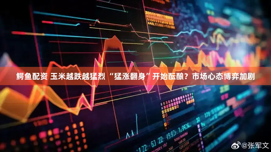 鳄鱼配资 玉米越跌越猛烈 “猛涨翻身”开始酝酿？市场心态博弈加剧