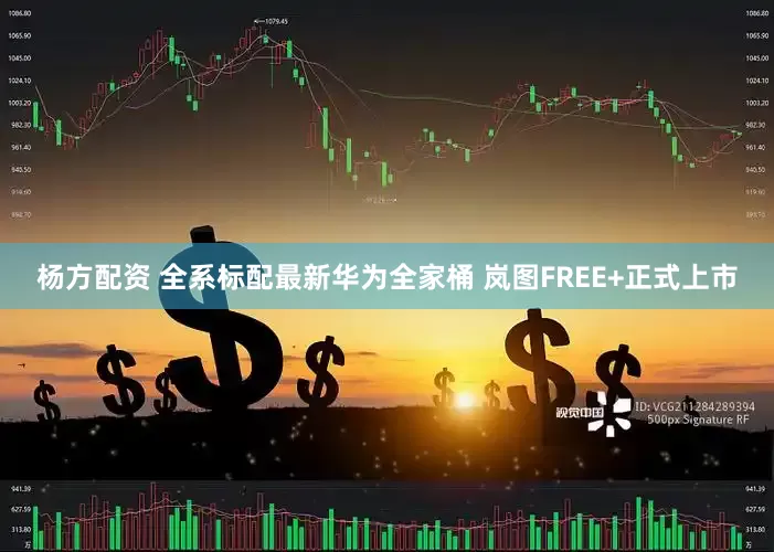 杨方配资 全系标配最新华为全家桶 岚图FREE+正式上市