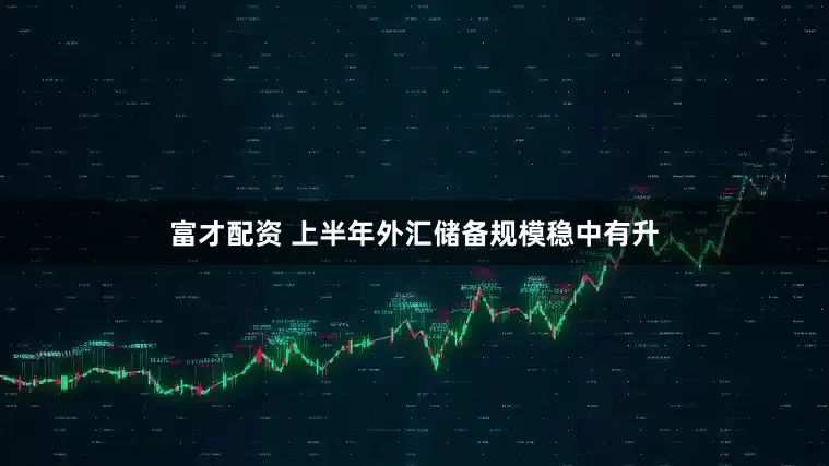 富才配资 上半年外汇储备规模稳中有升