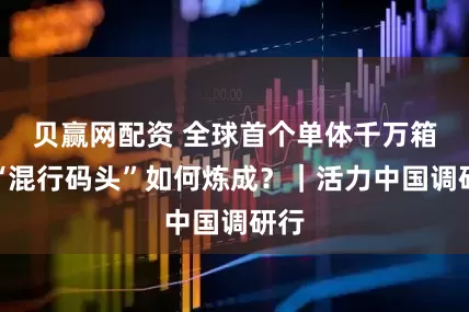 贝赢网配资 全球首个单体千万箱级“混行码头”如何炼成？｜活力中国调研行