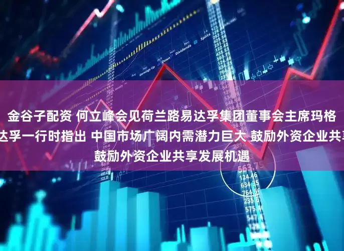 金谷子配资 何立峰会见荷兰路易达孚集团董事会主席玛格丽特·路易达孚一行时指出 中国市场广阔内需潜力巨大 鼓励外资企业共享发展机遇
