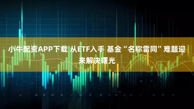 小牛配资APP下载 从ETF入手 基金“名称雷同”难题迎来解决曙光